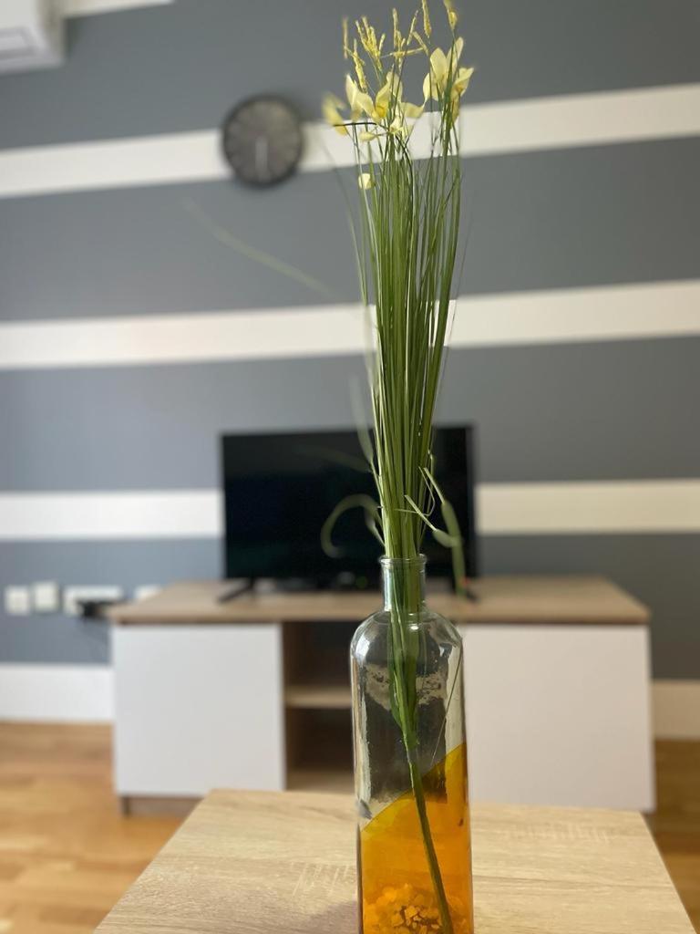 Naki Apartmani Podgorica Pokój zdjęcie